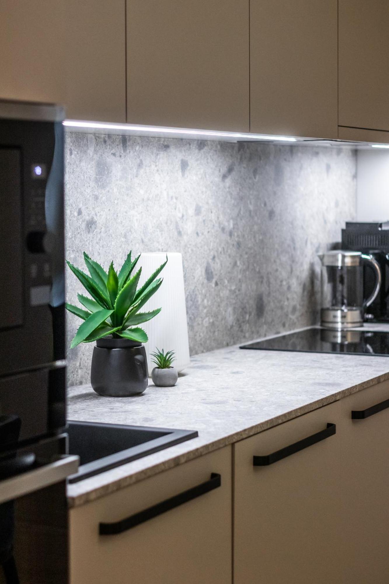 Terrific First-class In Town Center Apartament